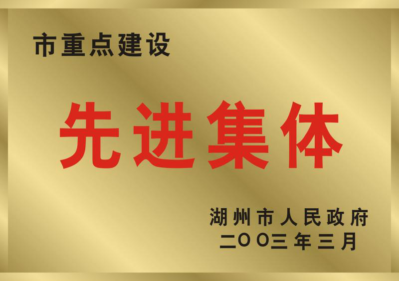 2002年度湖州市重點建設(shè)先進(jìn)集體